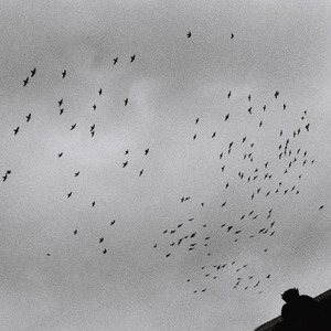 开心激情播播网
