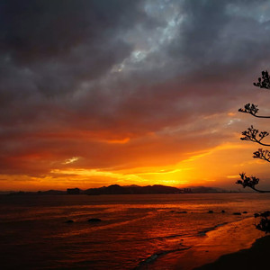 开心激情播播网
